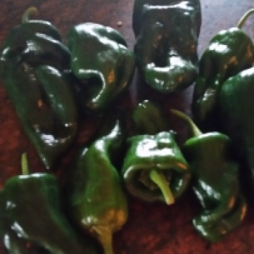 Poblano pepper - Intense flavor